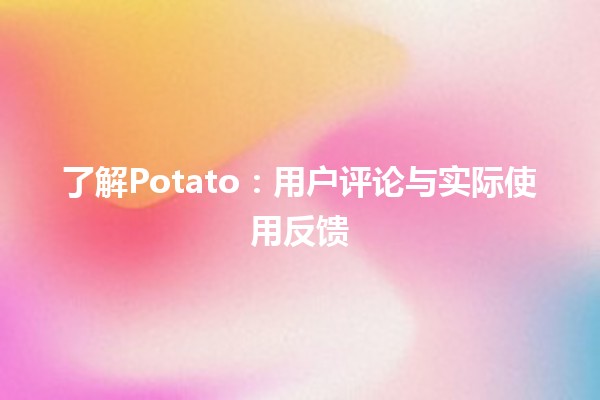 🍟 了解Potato：用户评论与实际使用反馈🏆