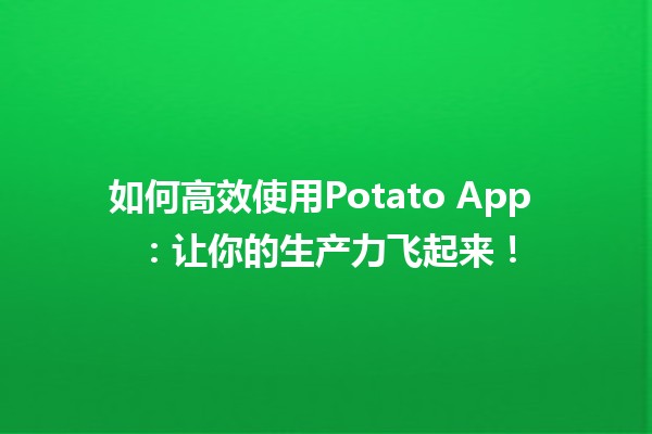 如何高效使用Potato App 🍟📱：让你的生产力飞起来！