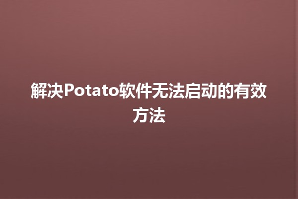 解决📉Potato软件无法启动的有效方法