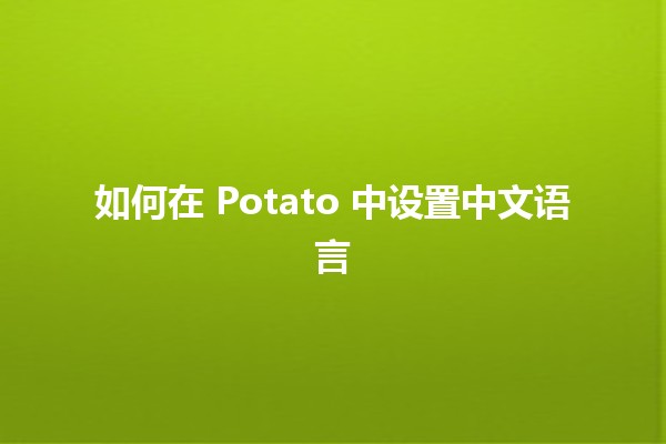 如何在 Potato 中设置中文语言🌟