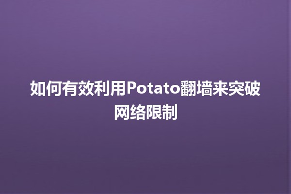 如何有效利用🔑Potato翻墙来突破网络限制