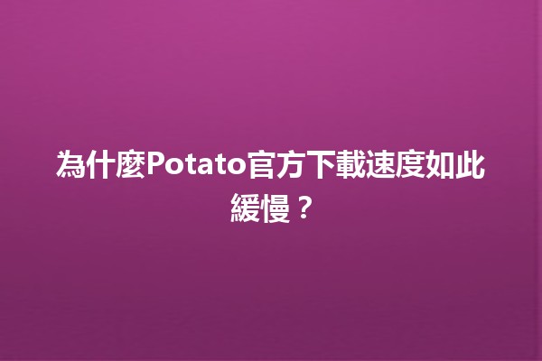 為什麼Potato官方下載速度如此緩慢？💻🕑