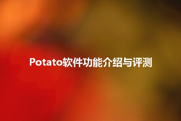 Potato软件功能介绍与评测🥔💻