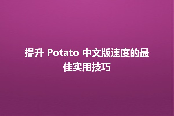 🚀 提升 Potato 中文版速度的最佳实用技巧 🍟