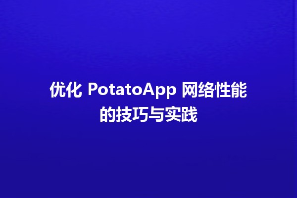 🚀 优化 PotatoApp 网络性能的技巧与实践