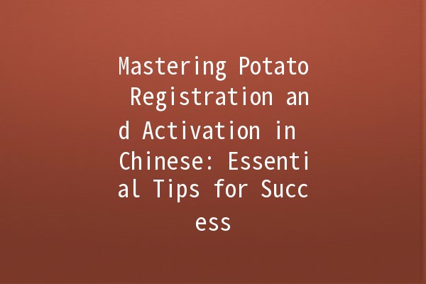 Mastering Potato Registration and Activation in Chinese: Essential Tips for Success 🚀🥔