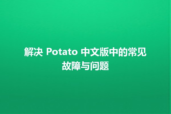 解决 Potato 中文版中的常见故障与问题 🚀🔧