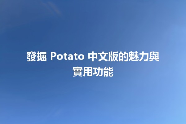 🥔 發掘 Potato 中文版的魅力與實用功能