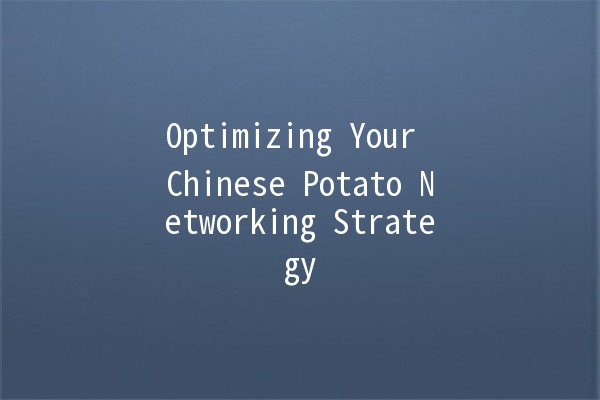 Optimizing Your Chinese Potato Networking Strategy 🥔✨