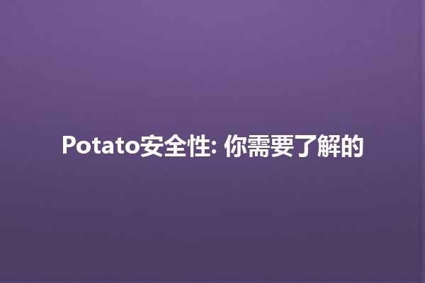 Potato安全性: 你需要了解的🍠🔍