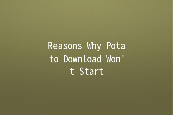 Reasons Why Potato Download Won't Start 🚫💻