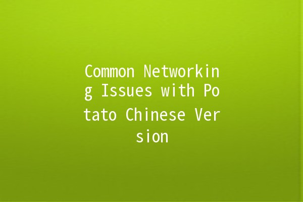 Common Networking Issues with Potato Chinese Version 🍟💻