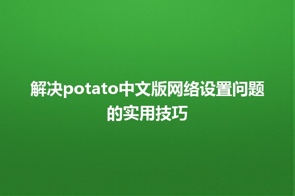 解决potato中文版网络设置问题的实用技巧 🚀🌐