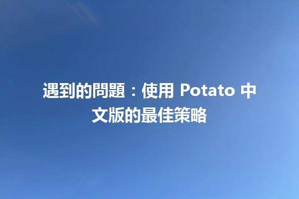 🌟 遇到的問題：使用 Potato 中文版的最佳策略