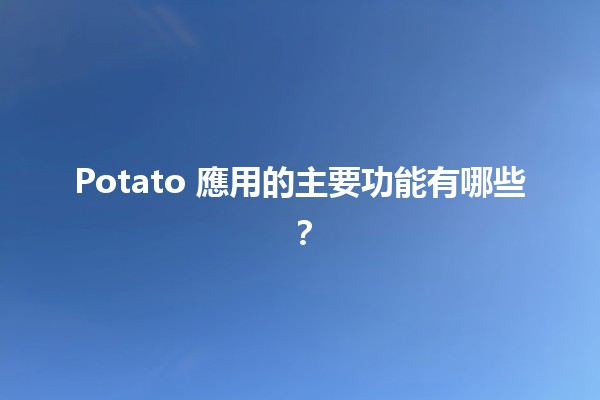 Potato 應用的主要功能有哪些？🥔💡