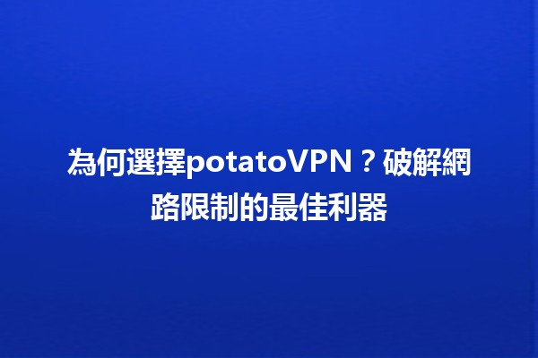 為何選擇potatoVPN？破解網路限制的最佳利器 🥔🌐