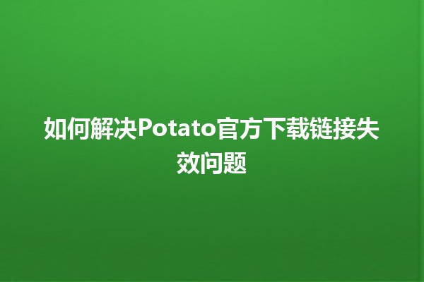 如何解决Potato官方下载链接失效问题🛠️