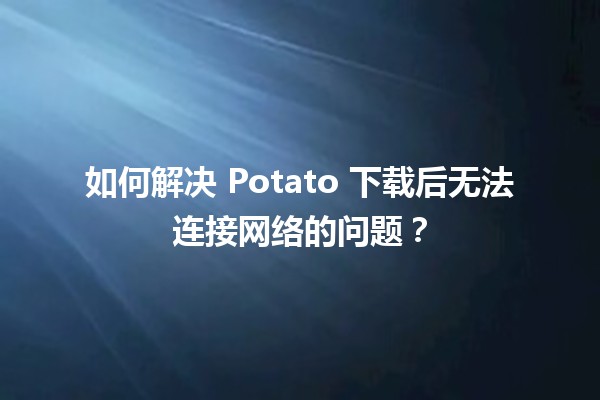 🎮 如何解决 Potato 下载后无法连接网络的问题？