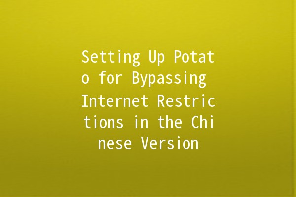 Setting Up Potato for Bypassing Internet Restrictions in the Chinese Version 🥔✨