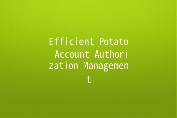 Efficient Potato Account Authorization Management 🍟🔑