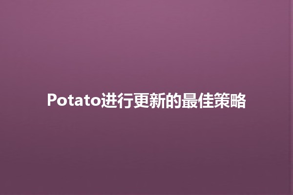 Potato进行更新的最佳策略 🥔✨