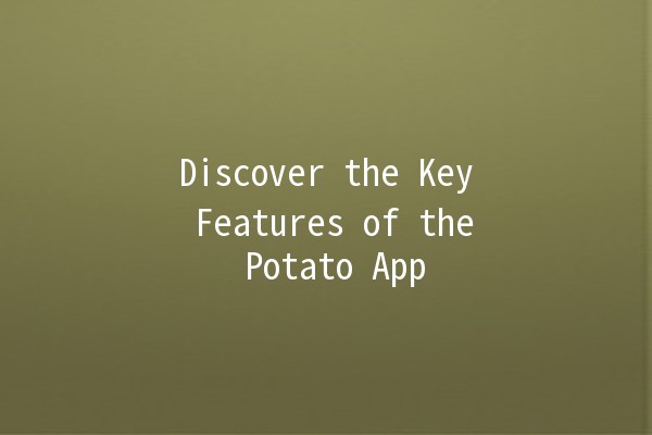 Discover the Key Features of the Potato App 🥔📲