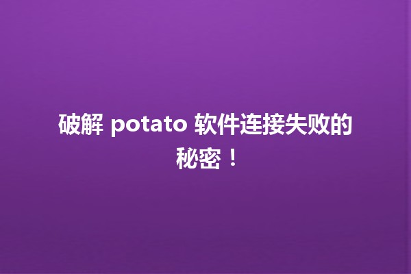 🚀 破解 potato 软件连接失败的秘密！