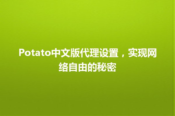 Potato中文版代理设置，实现网络自由的秘密🚀✨