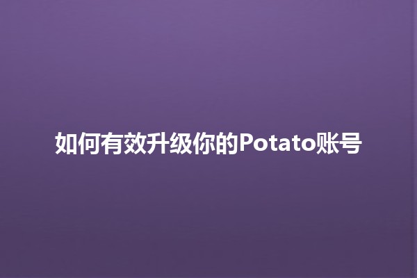 如何有效升级你的Potato账号 🚀🥔