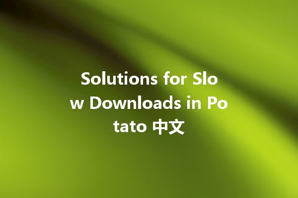 Solutions for Slow Downloads in Potato 中文 📥🐍