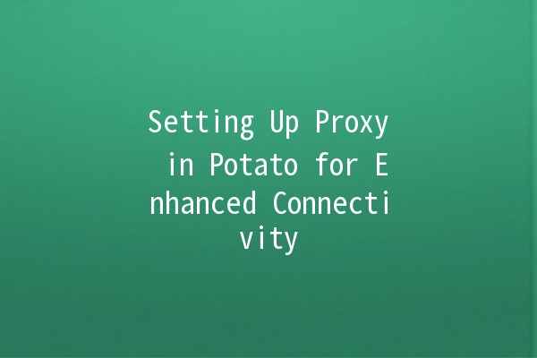 Setting Up Proxy in Potato for Enhanced Connectivity 🌐🥔