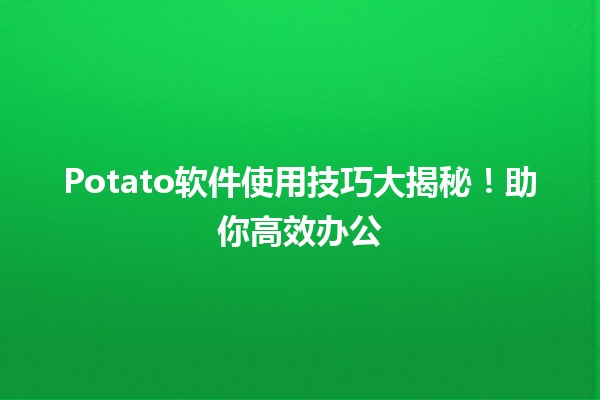 🍟 Potato软件使用技巧大揭秘！助你高效办公🌟