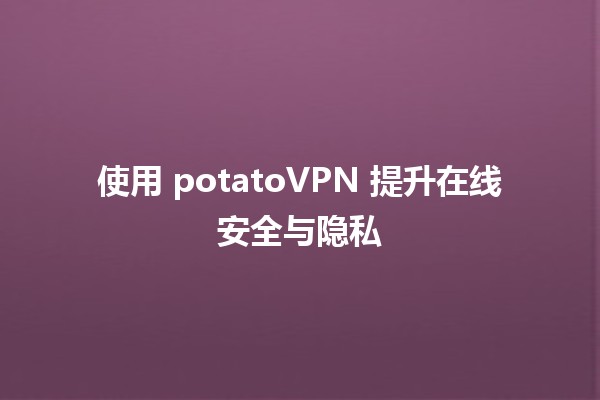 使用 potatoVPN 提升在线安全与隐私 🚀🛡️