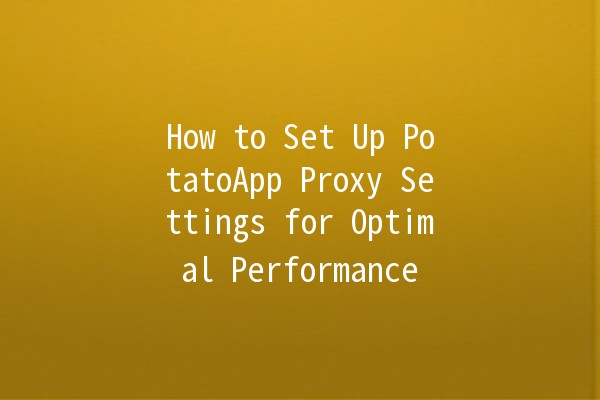 How to Set Up PotatoApp Proxy Settings for Optimal Performance 🌐🚀