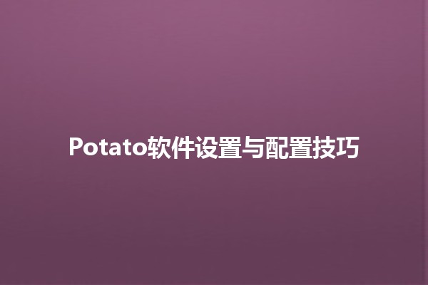 Potato软件设置与配置技巧 🍟✨