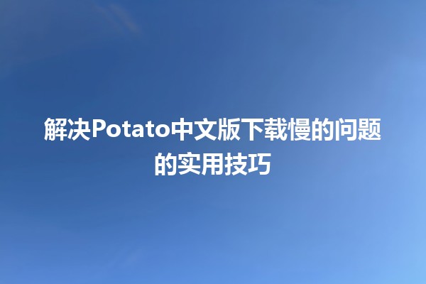 🥔 解决Potato中文版下载慢的问题的实用技巧🚀