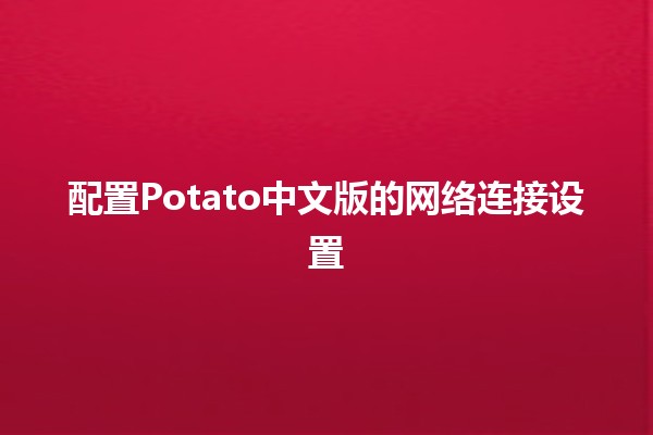 配置Potato中文版的网络连接设置🌐🍟