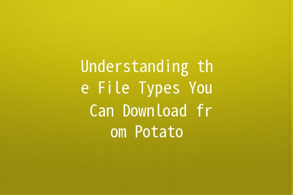 Understanding the File Types You Can Download from Potato 🍟📥