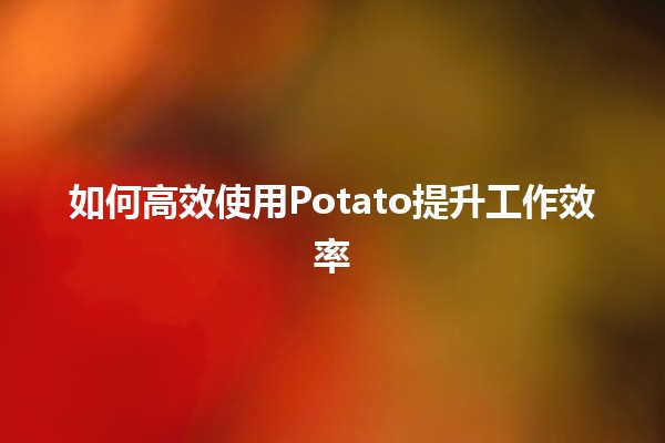 如何高效使用Potato提升工作效率🍟✨