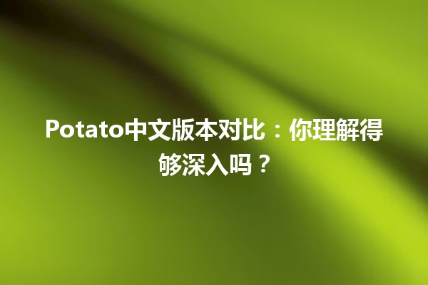 🥔 Potato中文版本对比：你理解得够深入吗？