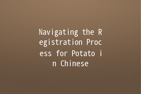 🥔 Navigating the Registration Process for Potato in Chinese 🌐