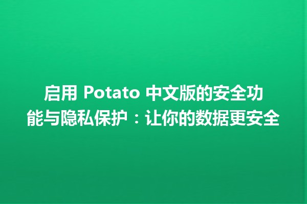 启用 Potato 中文版的安全功能与隐私保护：让你的数据更安全🛡️🔒