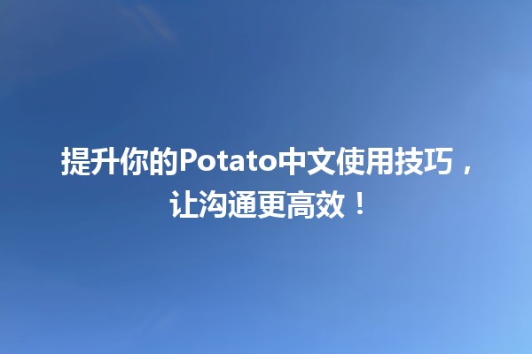 🚀 提升你的Potato中文使用技巧，让沟通更高效！