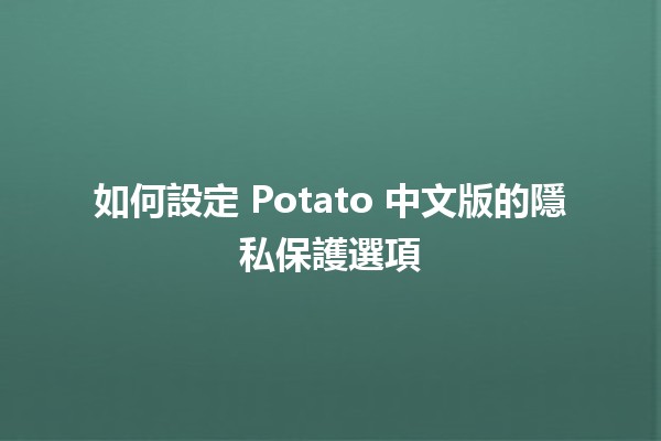 如何設定 Potato 中文版的隱私保護選項 🔒🍟