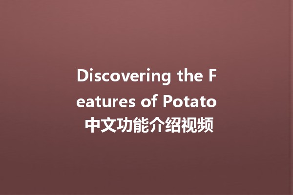 Discovering the Features of Potato 中文功能介绍视频 🍟✨