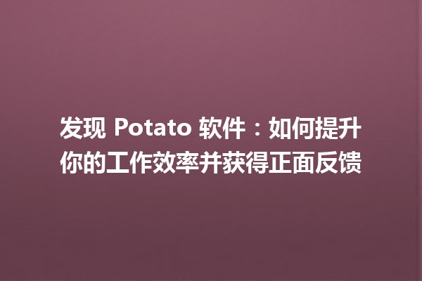 🍟 发现 Potato 软件：如何提升你的工作效率并获得正面反馈 💻