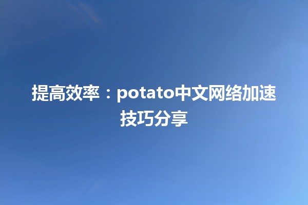 🚀 提高效率：potato中文网络加速技巧分享💻