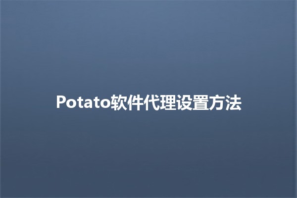 Potato软件代理设置方法 🥔✨