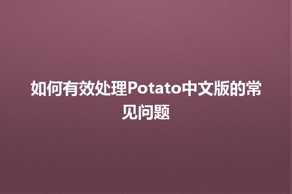 如何有效处理Potato中文版的常见问题🛠️