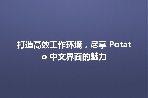 打造高效工作环境，尽享 Potato 中文界面的魅力 🍟✨